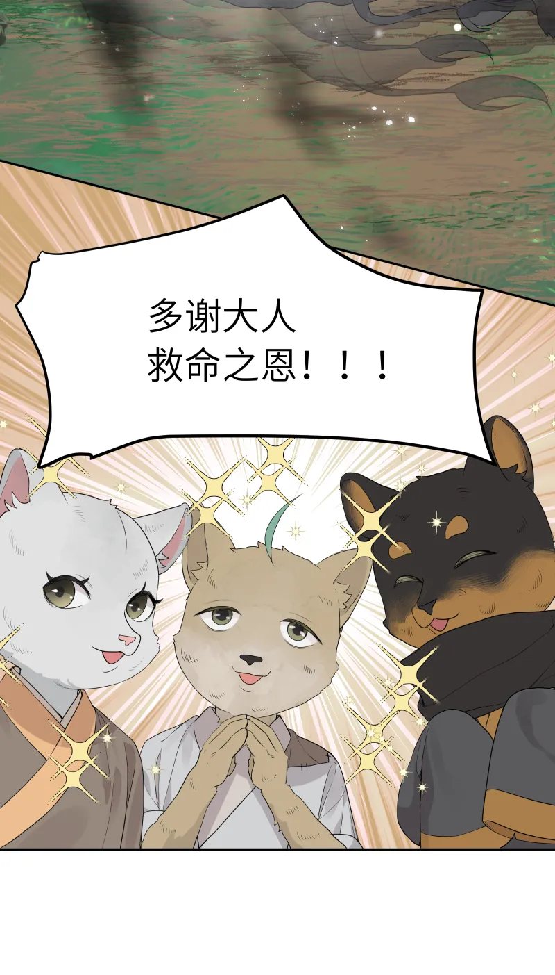 54 第22页