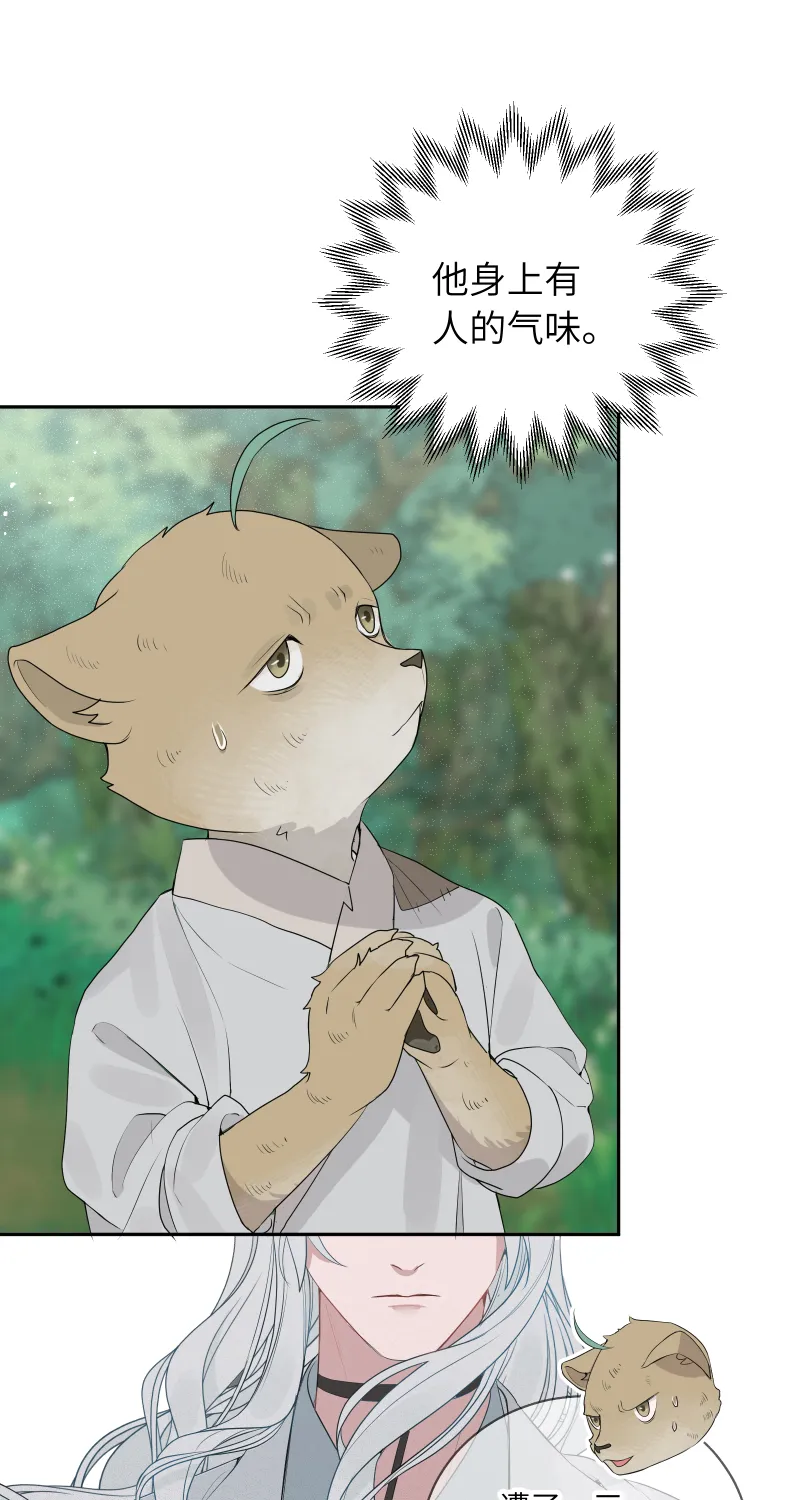54 第23页
