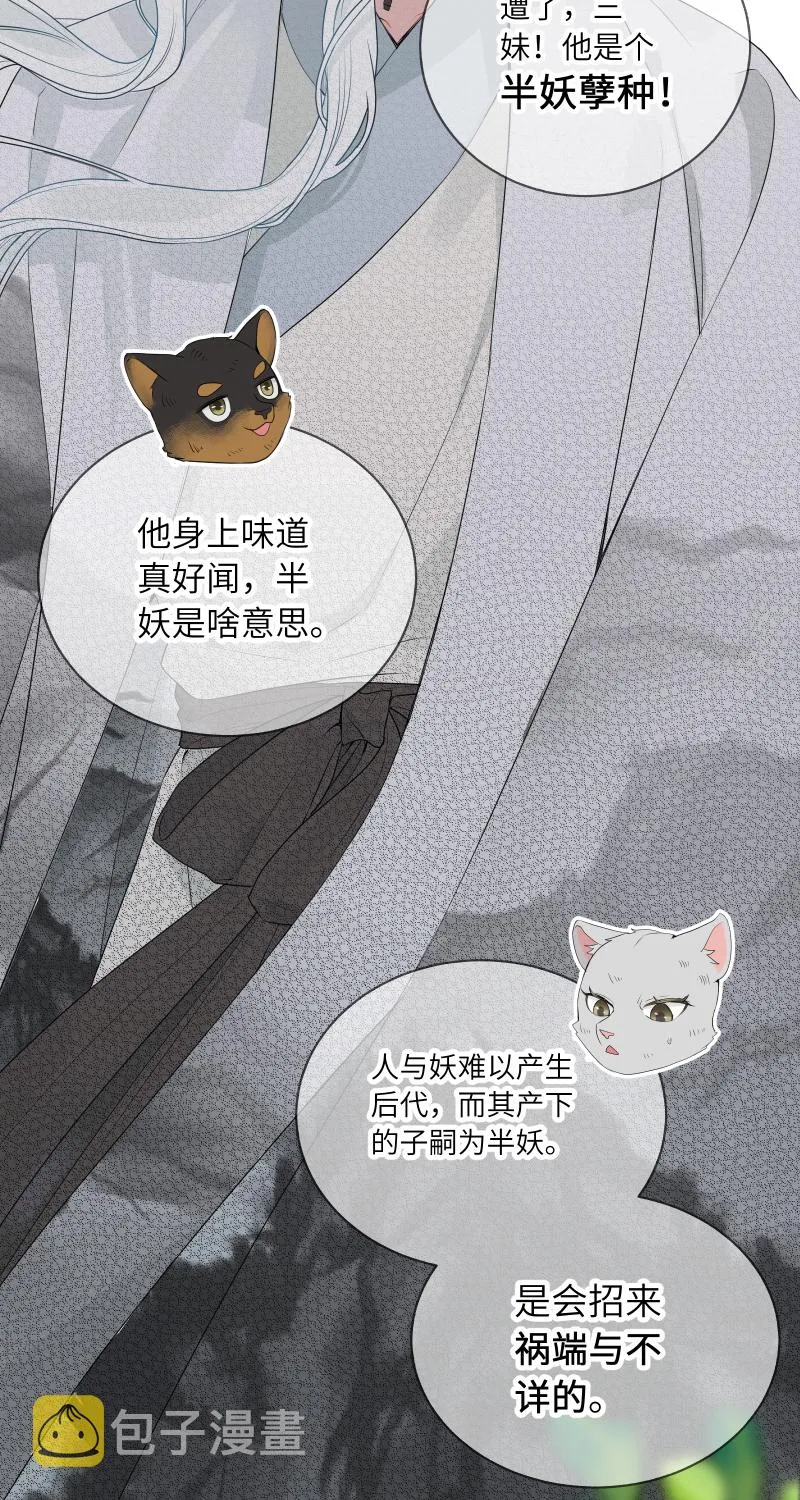 54 第24页