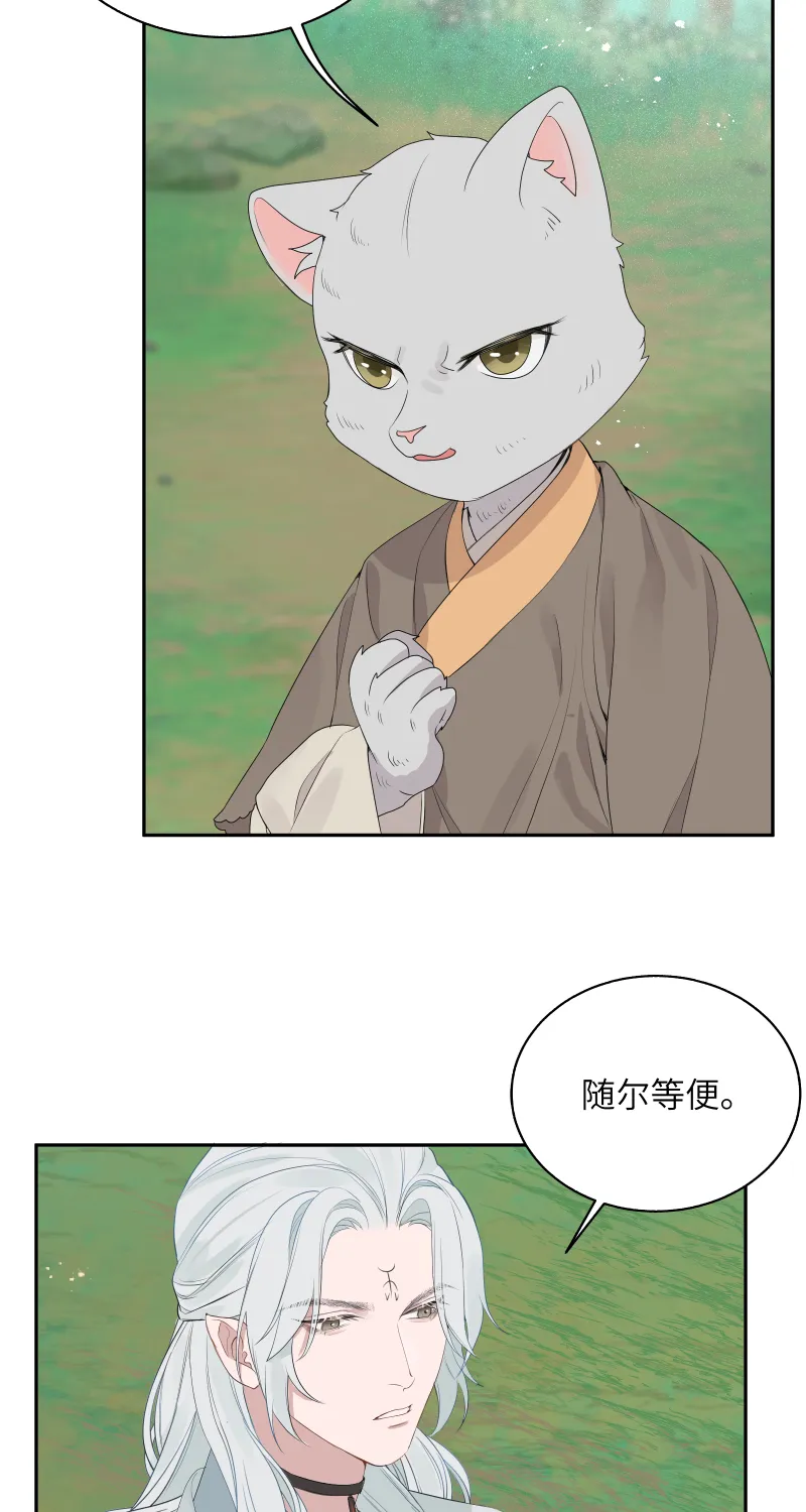 54 第28页