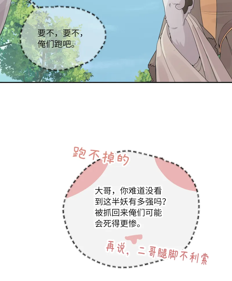 54 第30页