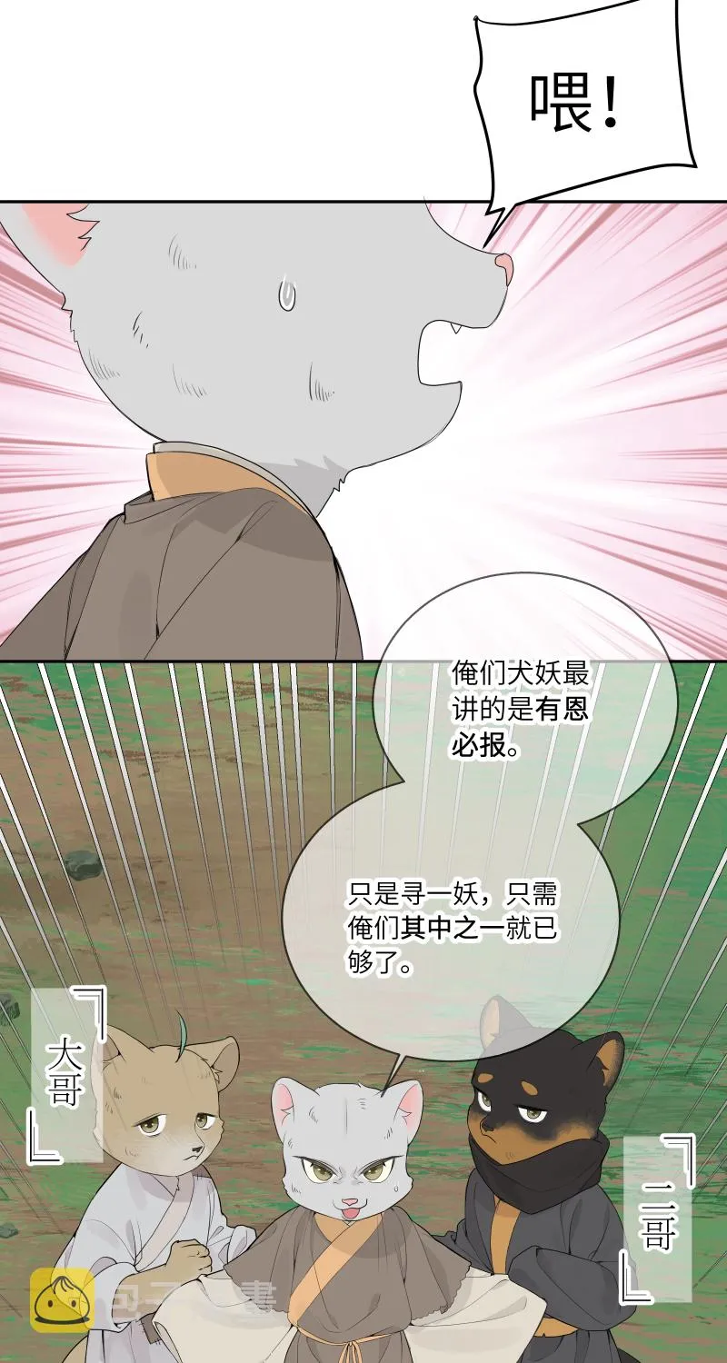 54 第32页
