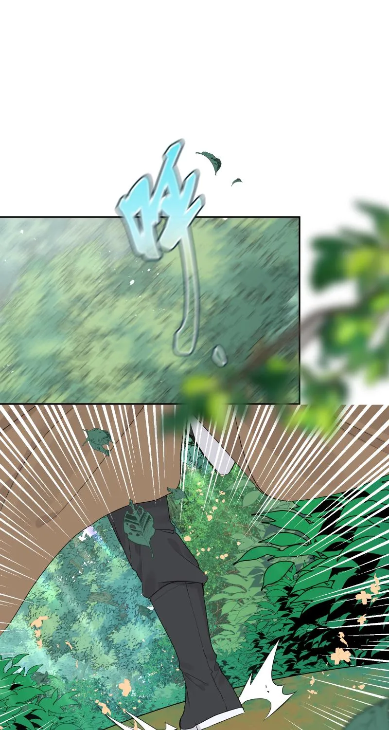 51 一路监视 第8页