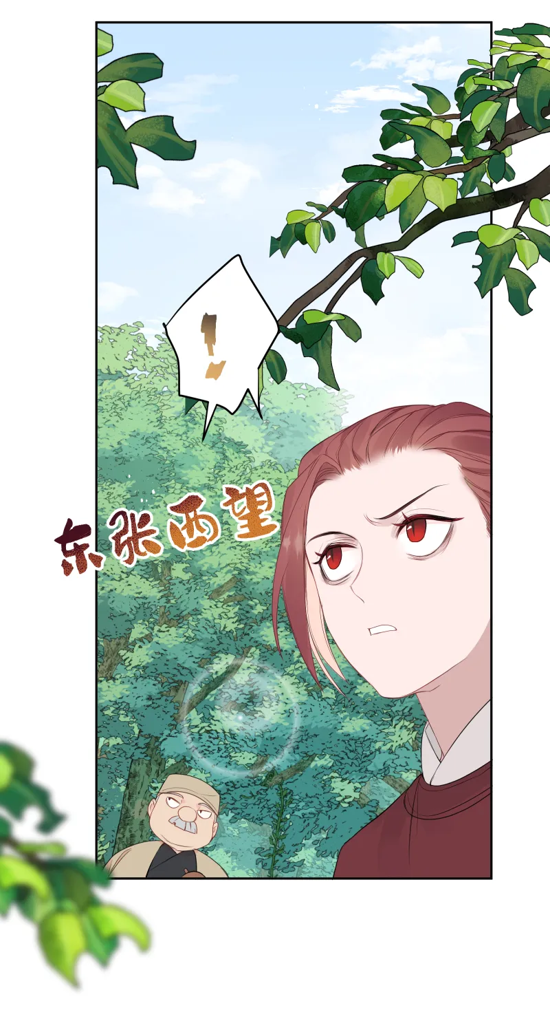 51 一路监视 第26页