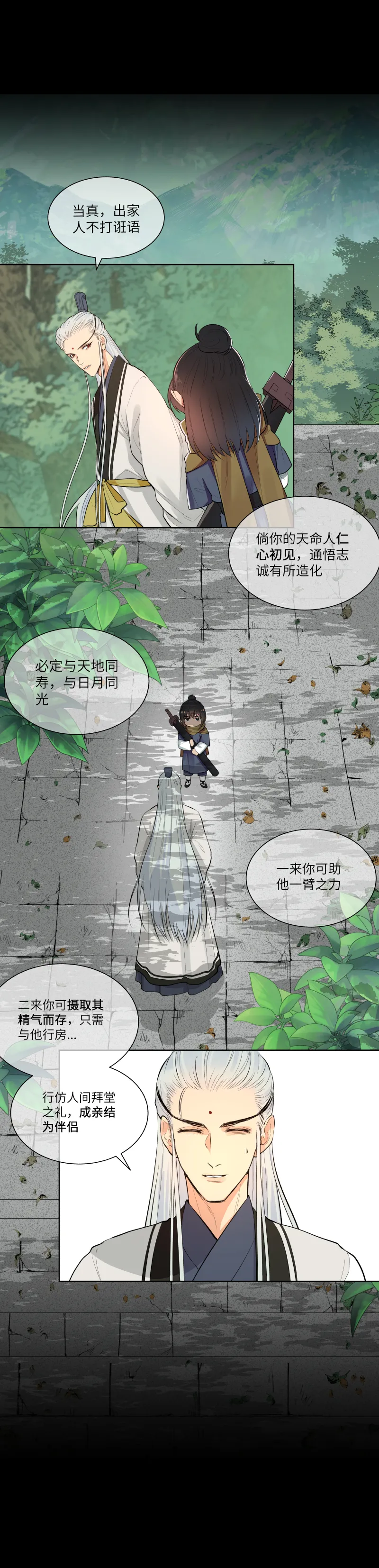 31 第6页