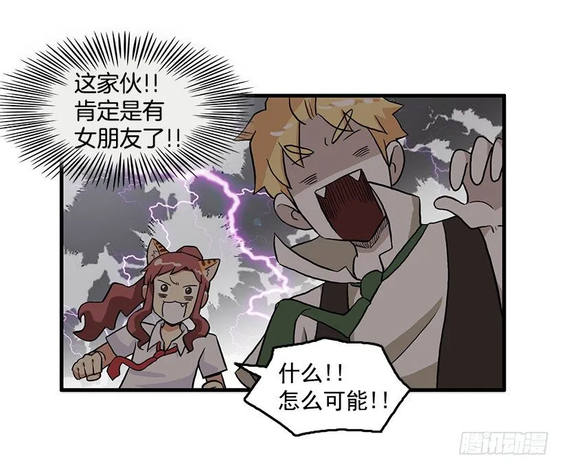 猫咪 第4页
