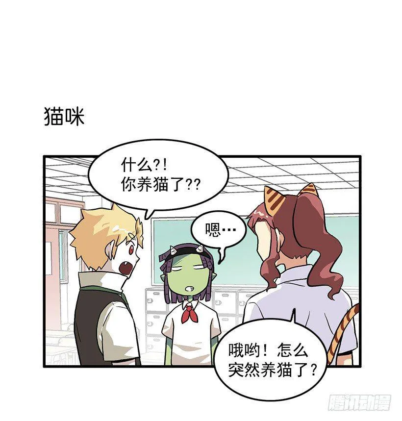 猫咪 第7页