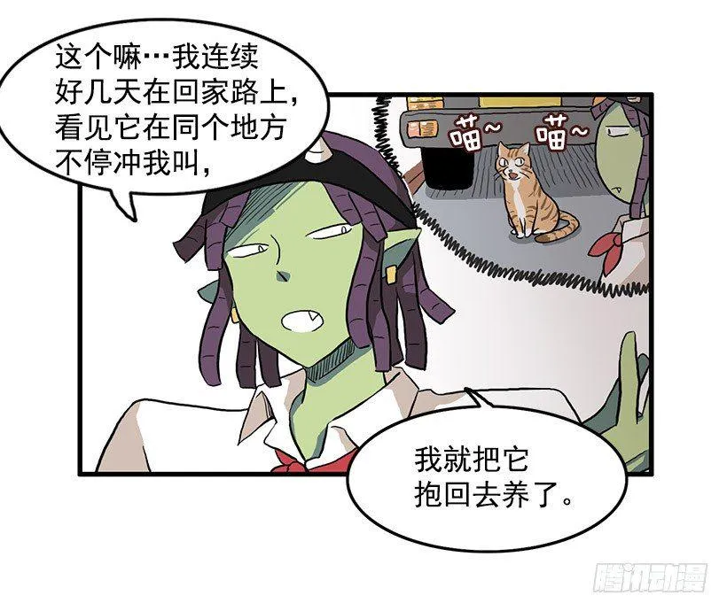 猫咪 第8页