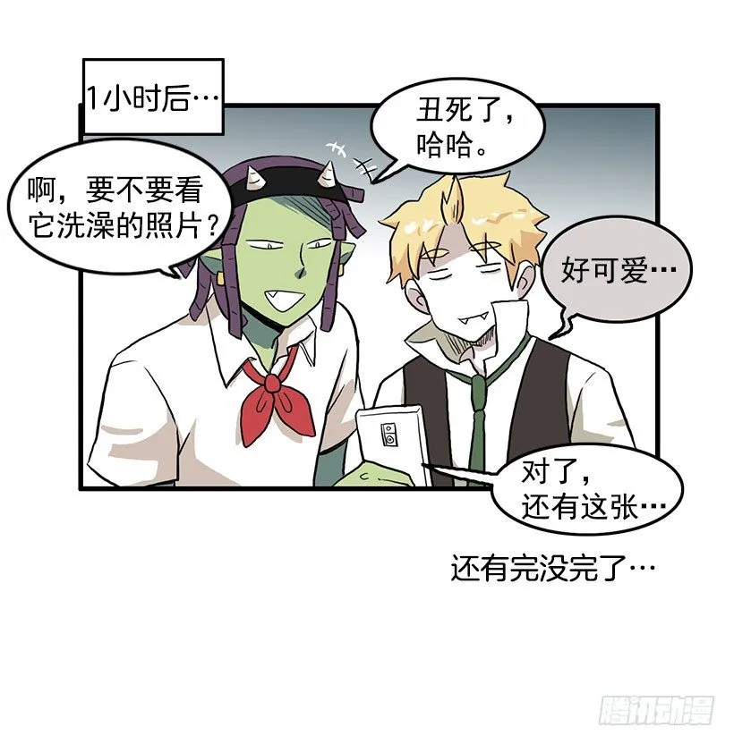 猫咪 第11页