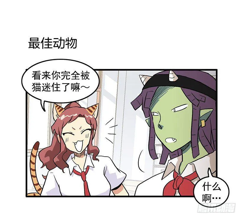 猫咪 第12页