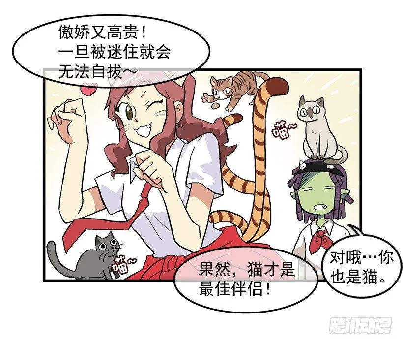 猫咪 第13页