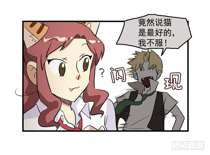 猫咪 第14页