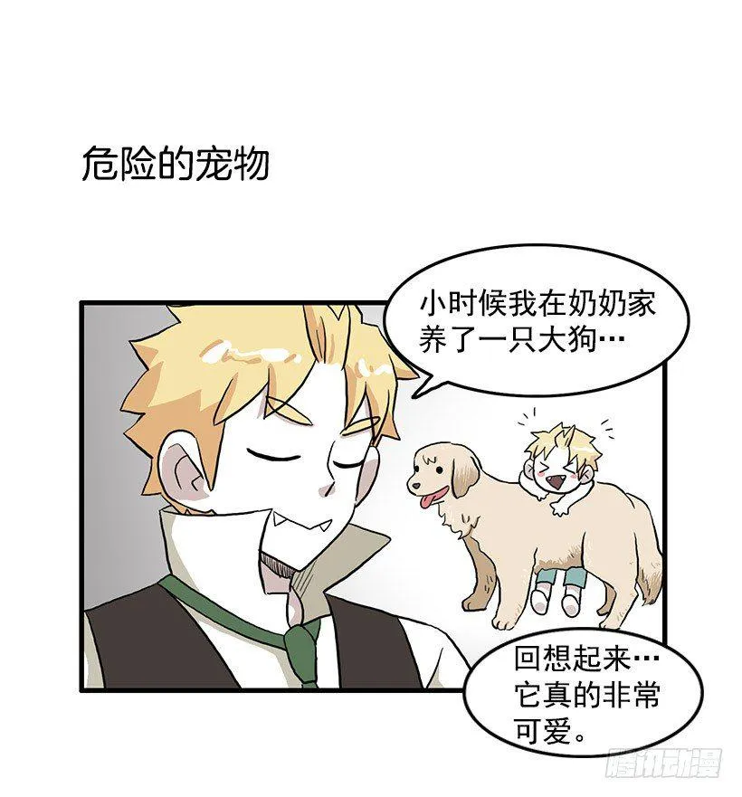 猫咪 第16页