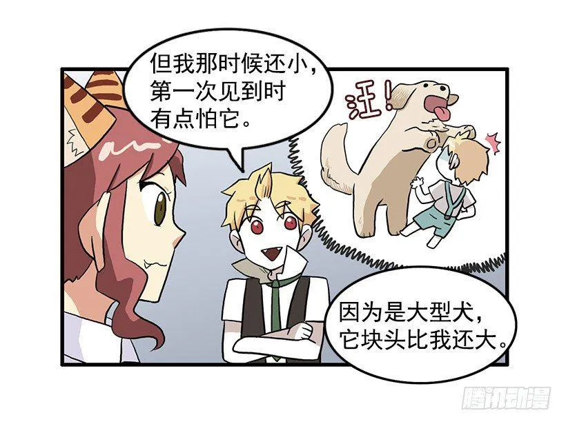 猫咪 第17页