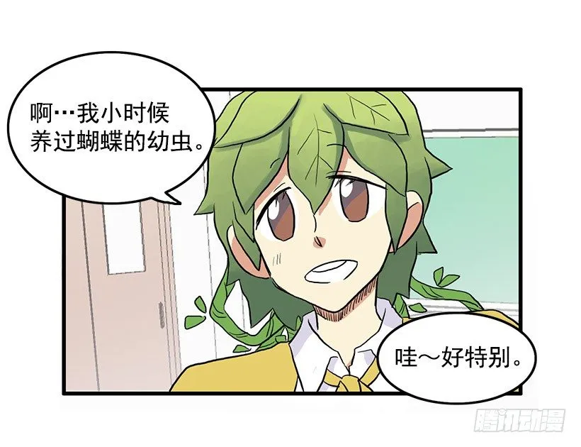 猫咪 第18页