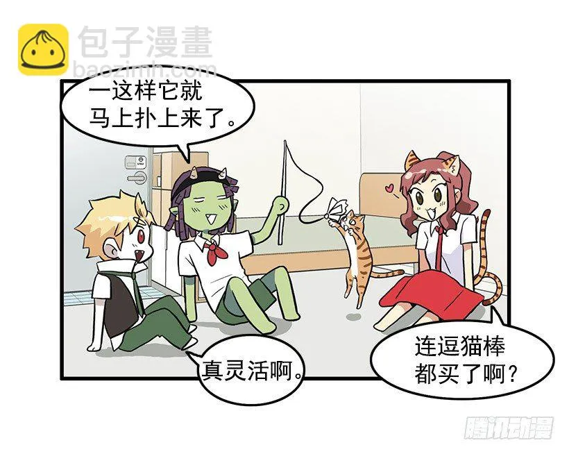 猫咪 第21页