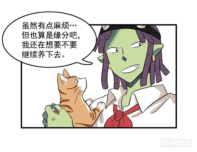 猫咪 第22页