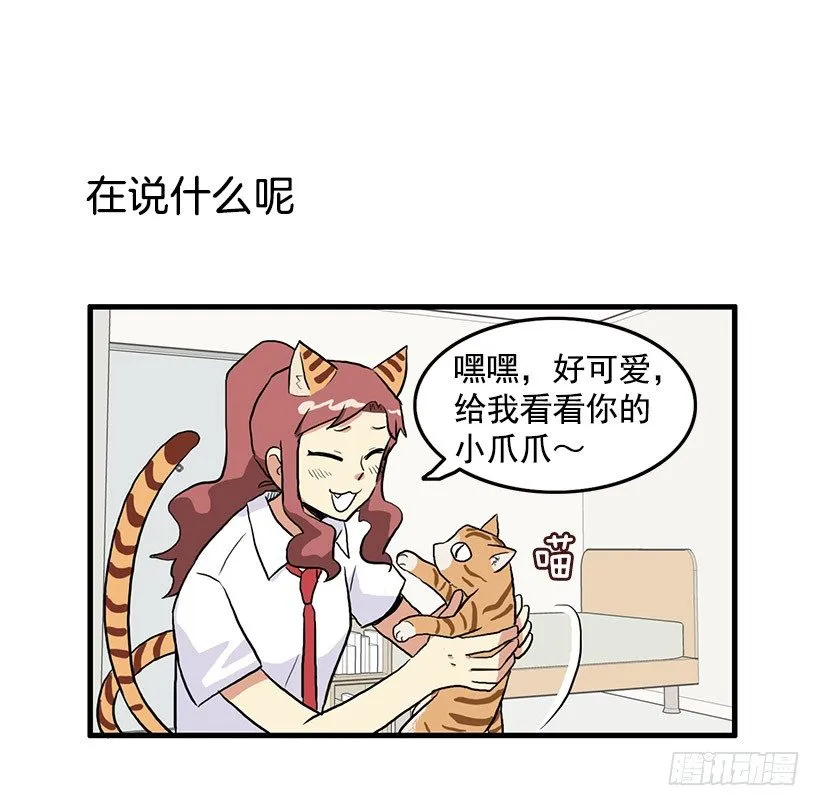 猫咪 第24页
