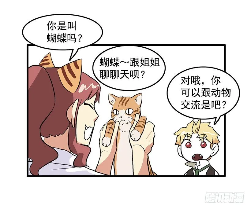 猫咪 第25页
