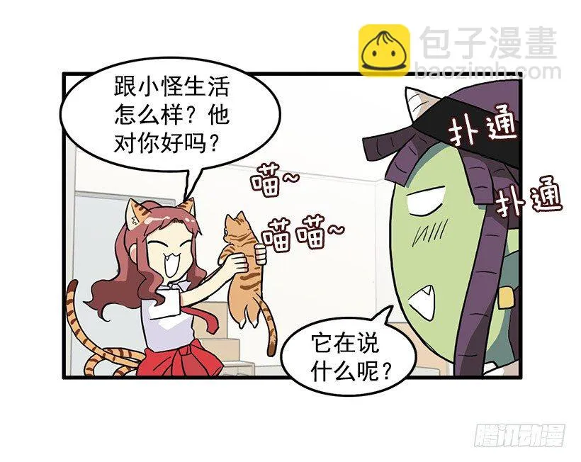 猫咪 第26页
