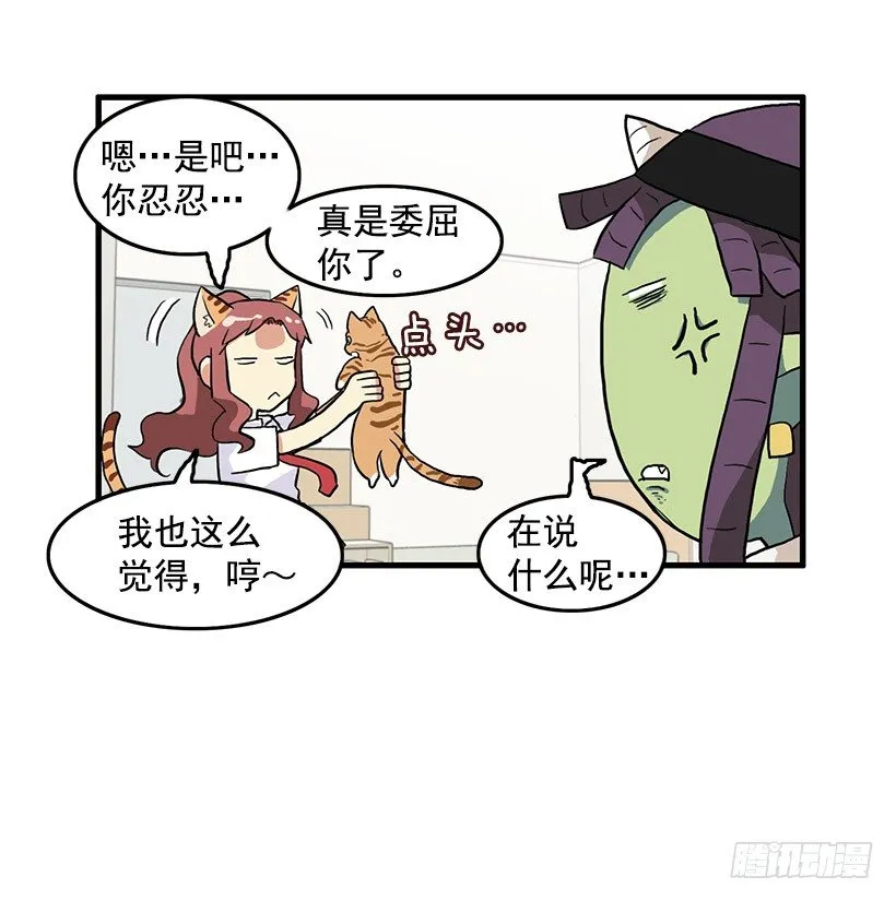 猫咪 第27页