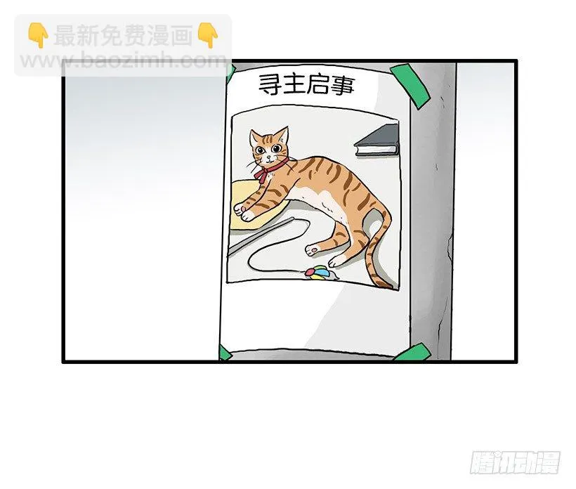 猫咪 第35页