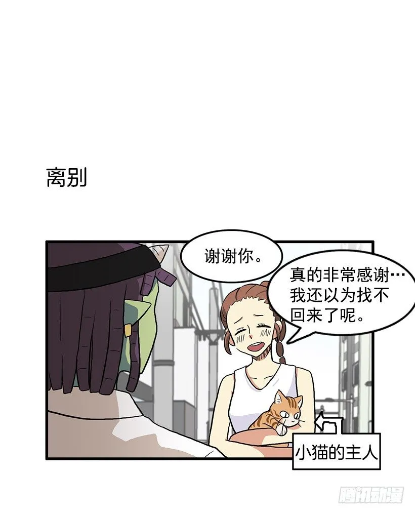 猫咪 第36页