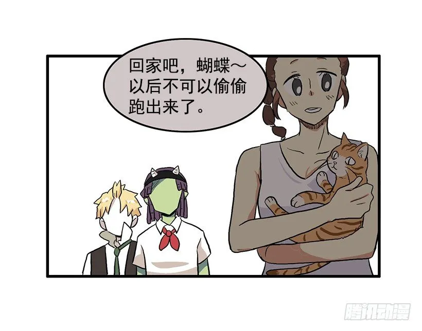 猫咪 第37页