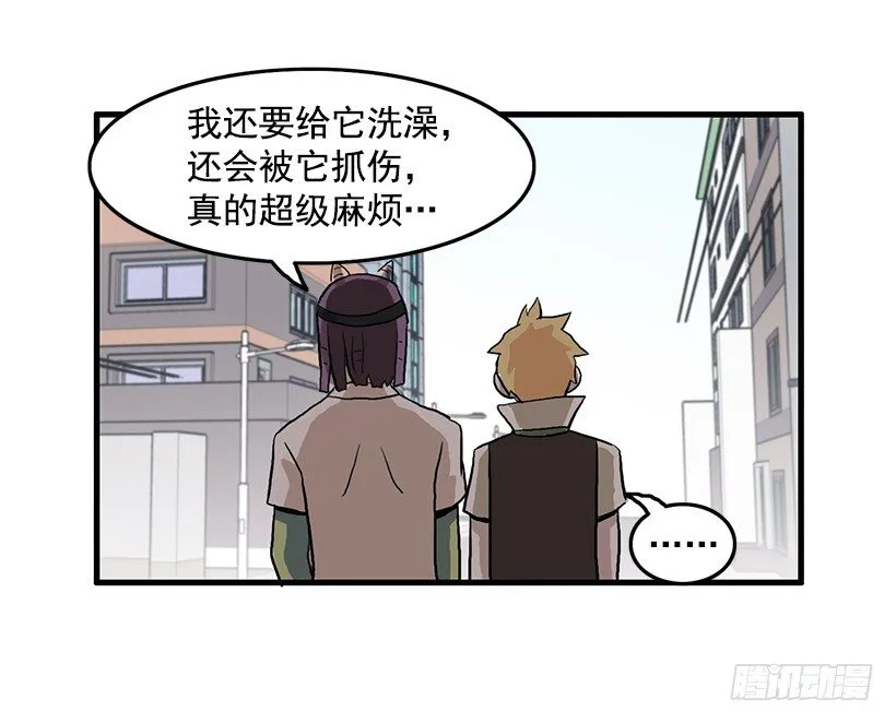 猫咪 第41页