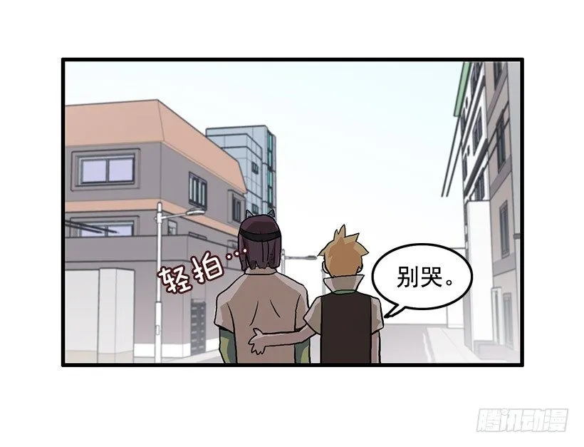 猫咪 第42页
