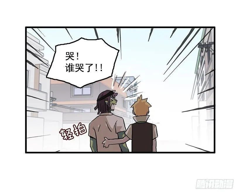 猫咪 第43页