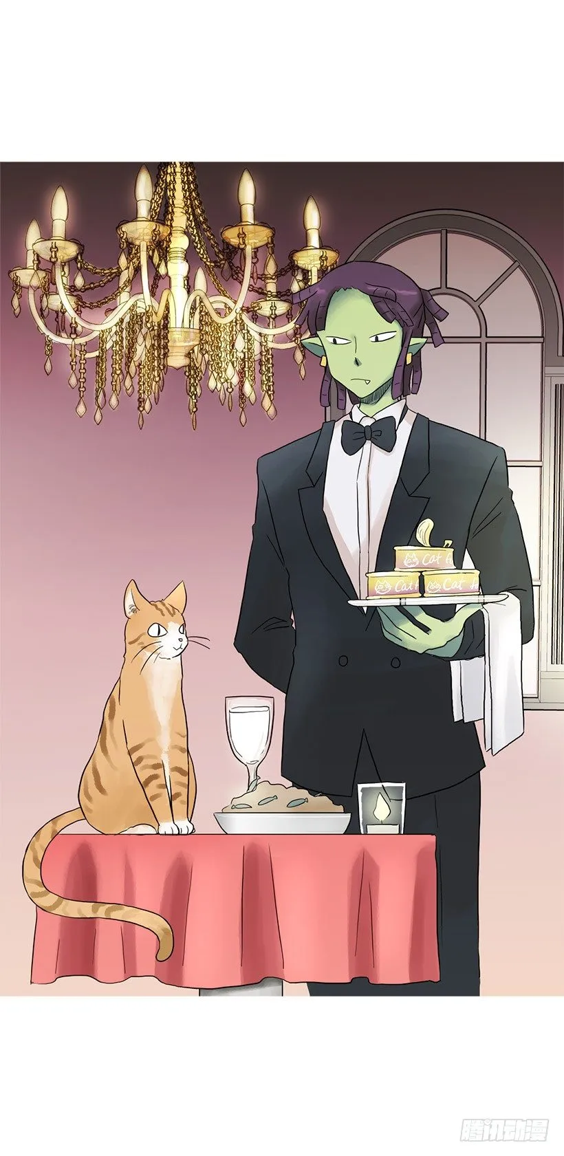 猫咪 第48页