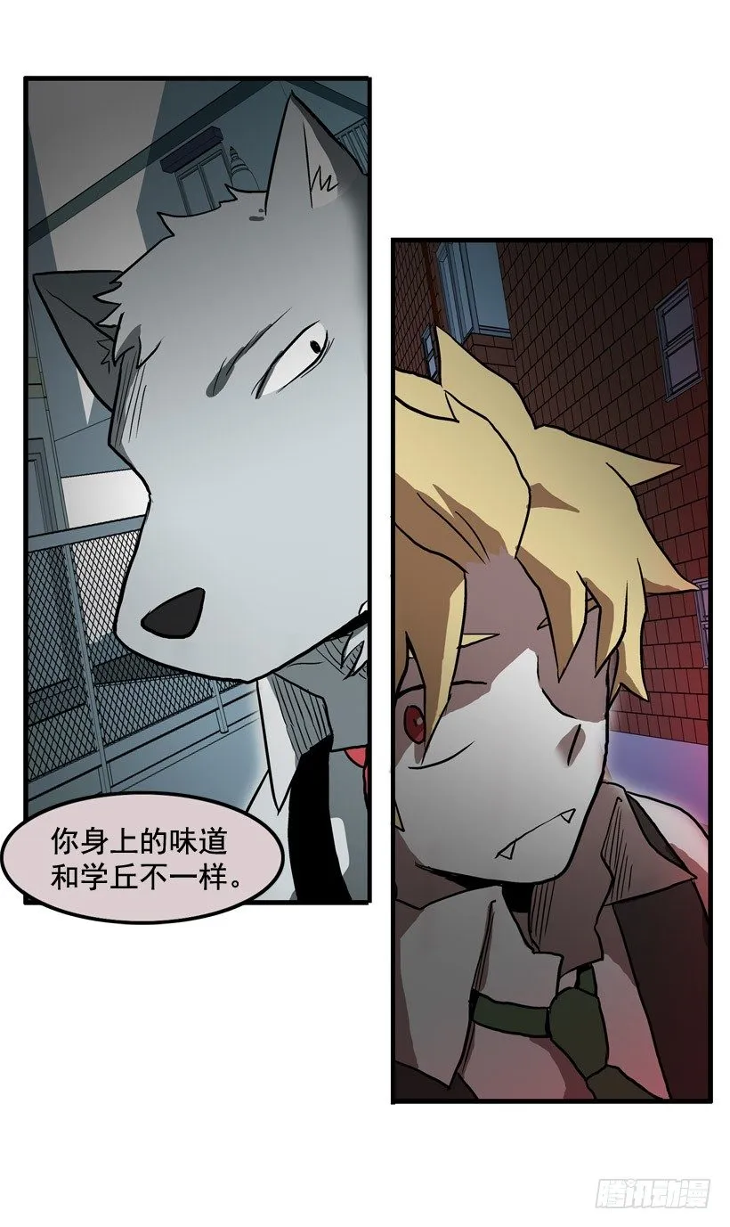 东西还来 第44页