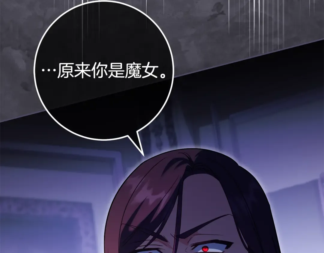 第116话 英雄事迹 第207页