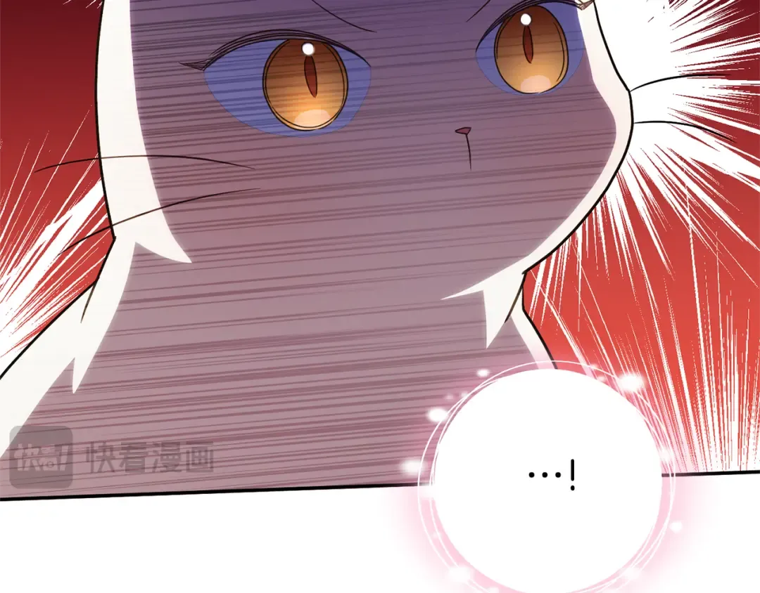 第125话 信念 第110页