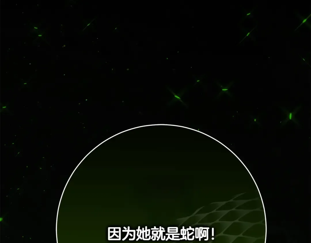 第155话 神秘女人 第213页
