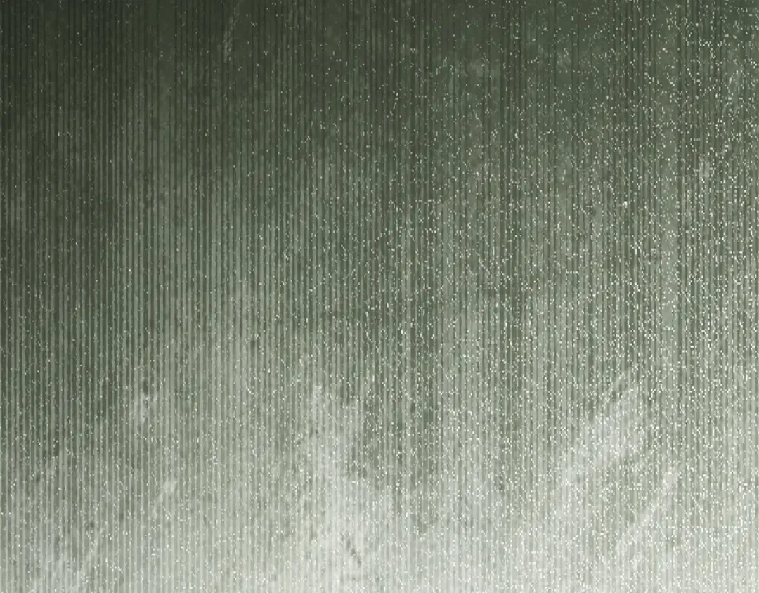 第156话 奖励你的 第250页