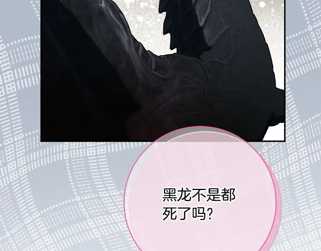第165话 皇女的生日 第28页