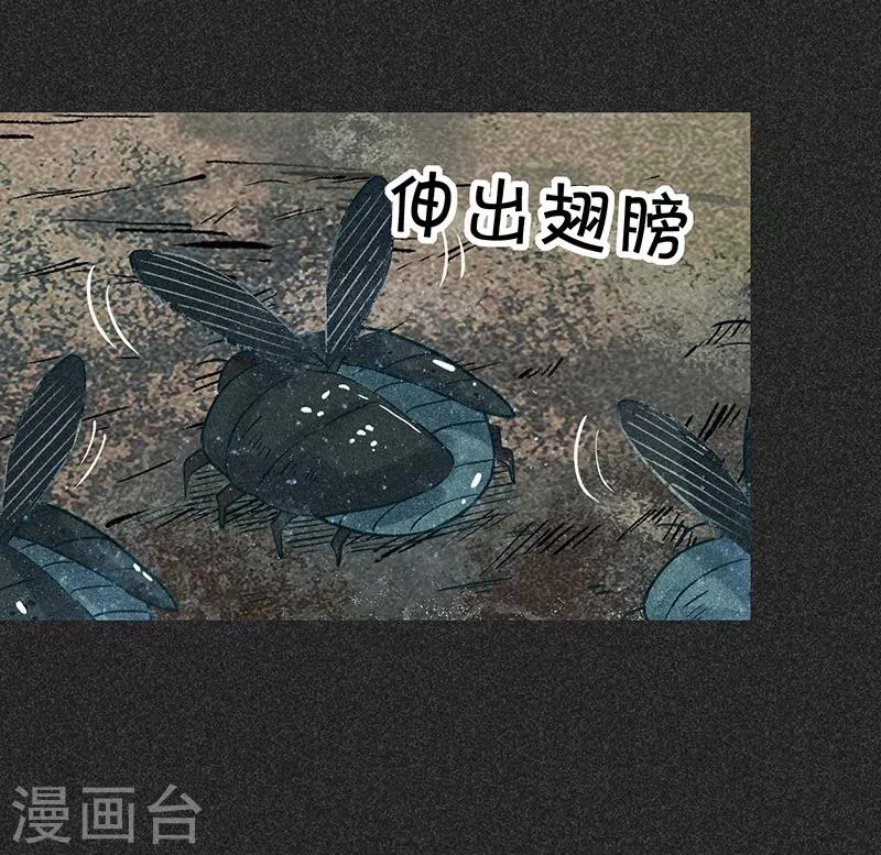 第42话 活菩萨 第37页