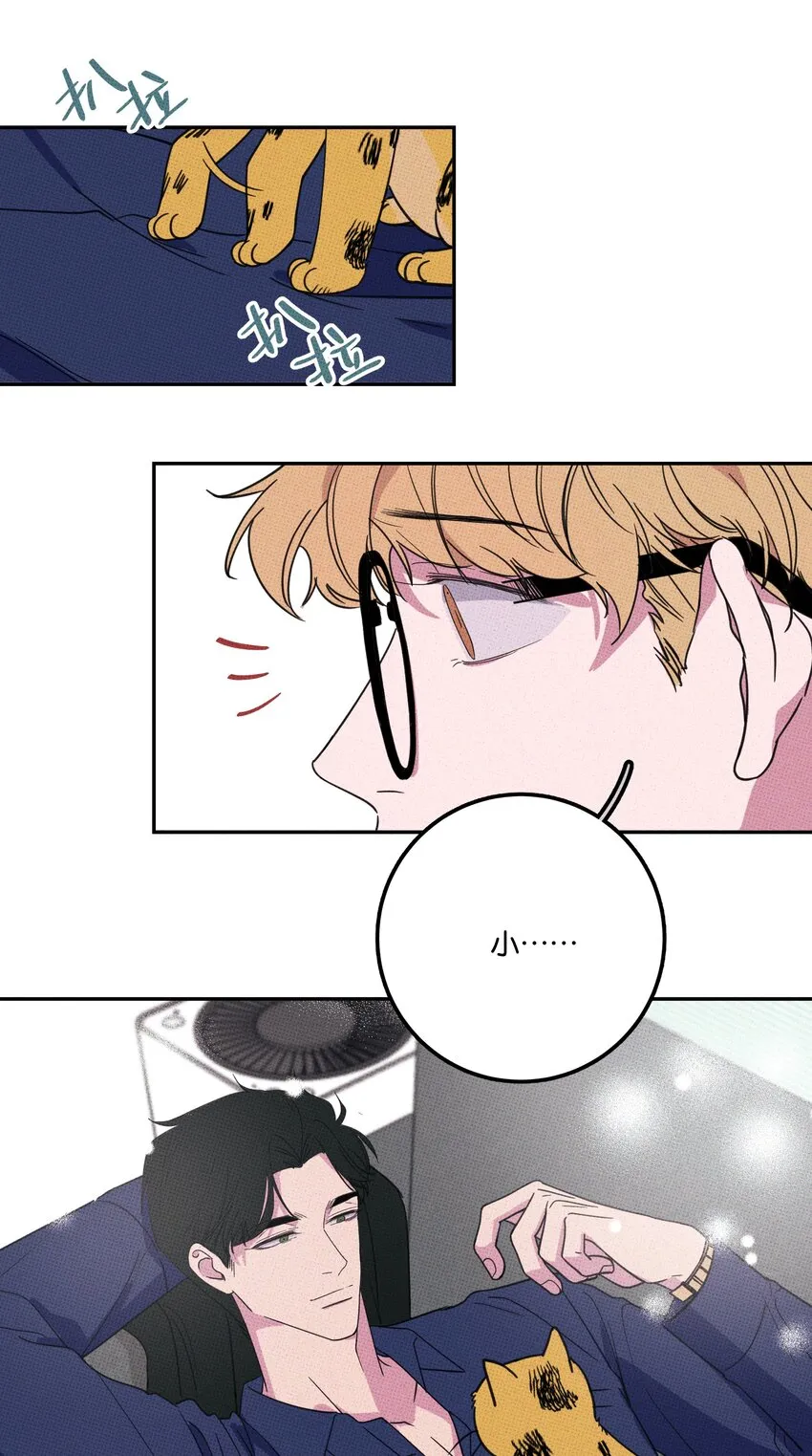 005 专属经纪人 第43页