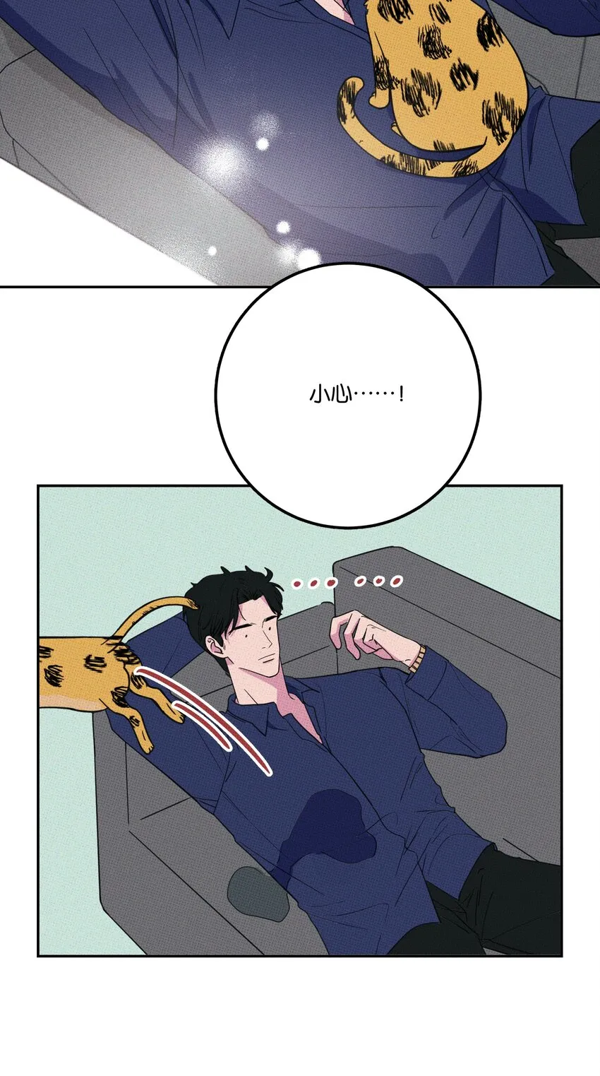 005 专属经纪人 第44页