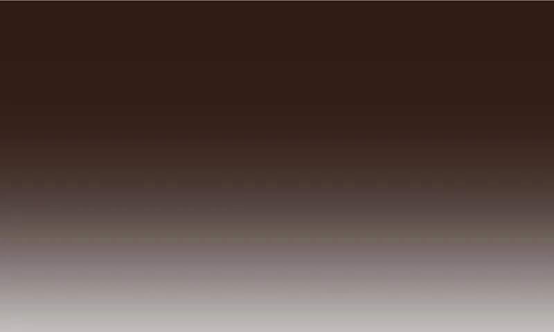 筹钱的夜晚 第46页
