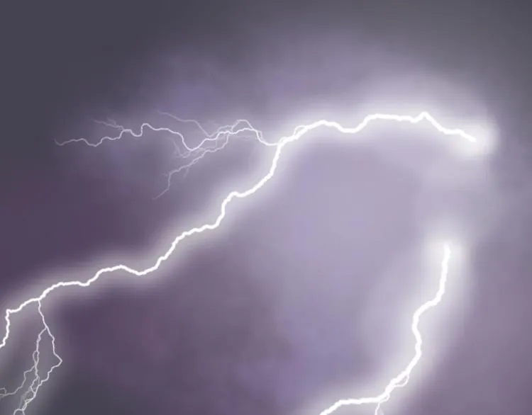 屋漏偏逢连夜雨 第52页