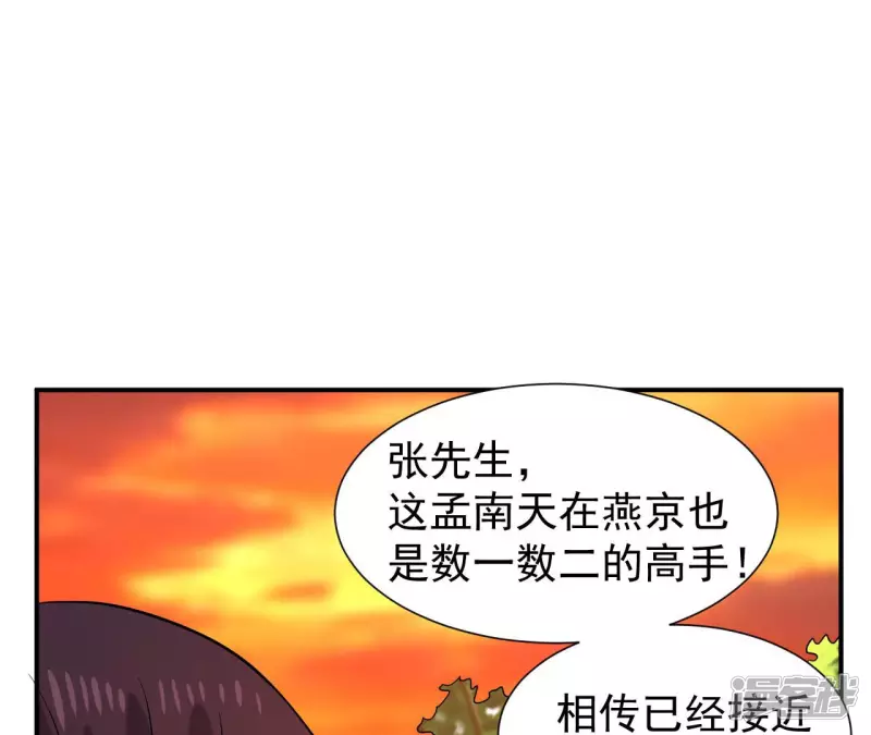 第51话 巅峰宗师境 第18页