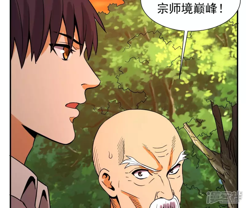 第51话 巅峰宗师境 第19页