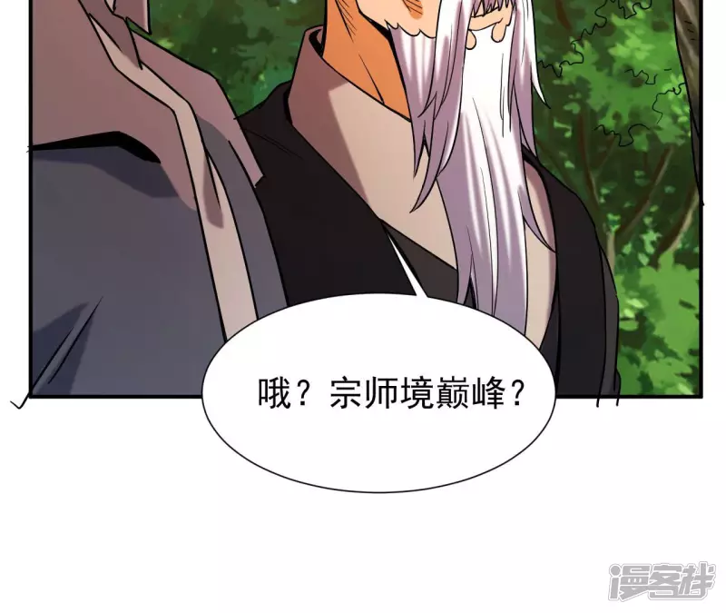 第51话 巅峰宗师境 第20页