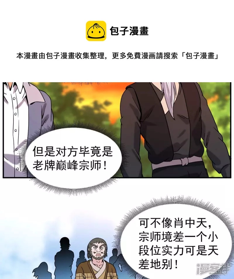 第51话 巅峰宗师境 第33页