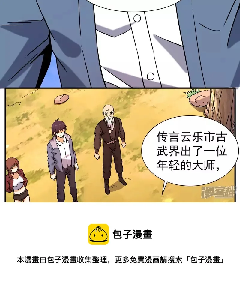 第51话 巅峰宗师境 第41页