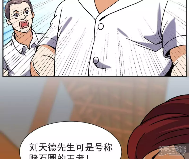 第66话 赌石场 第22页