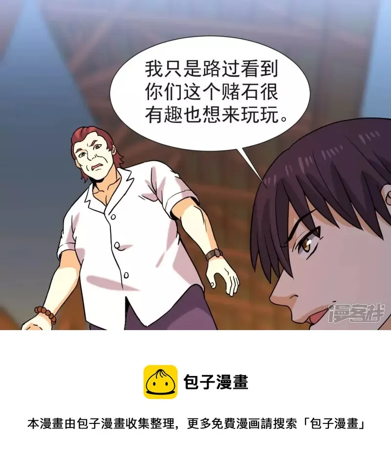 第66话 赌石场 第45页